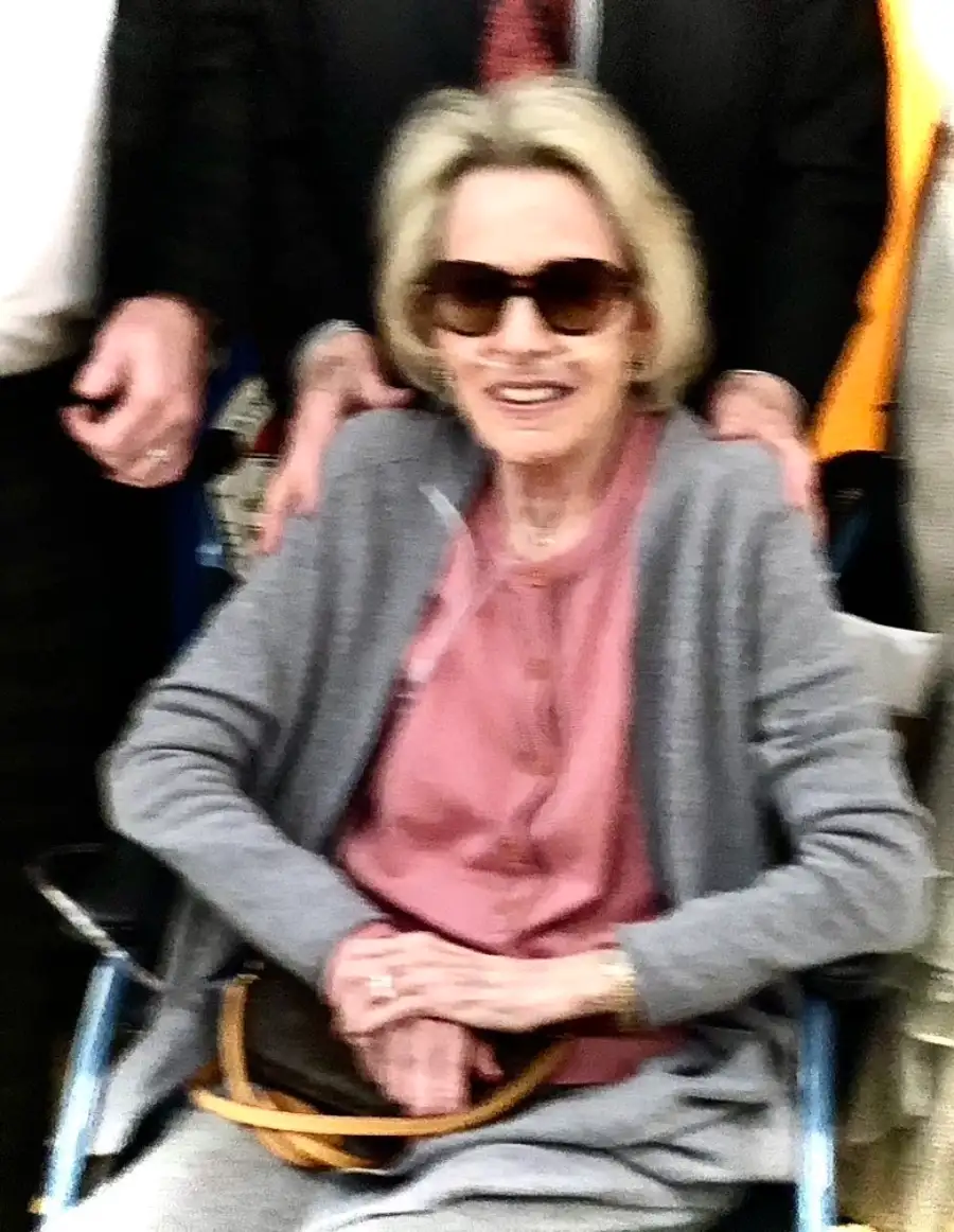 Main Image Supporting the Content of MY VERY LAST VIEW OF YOU